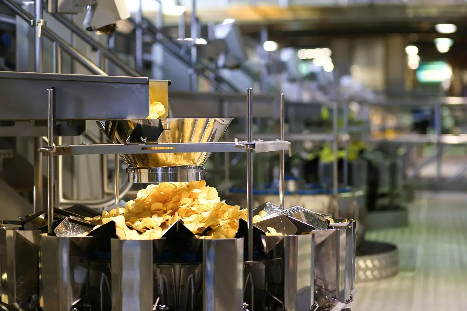 Food Processing — Zoho solutions by Avaniko